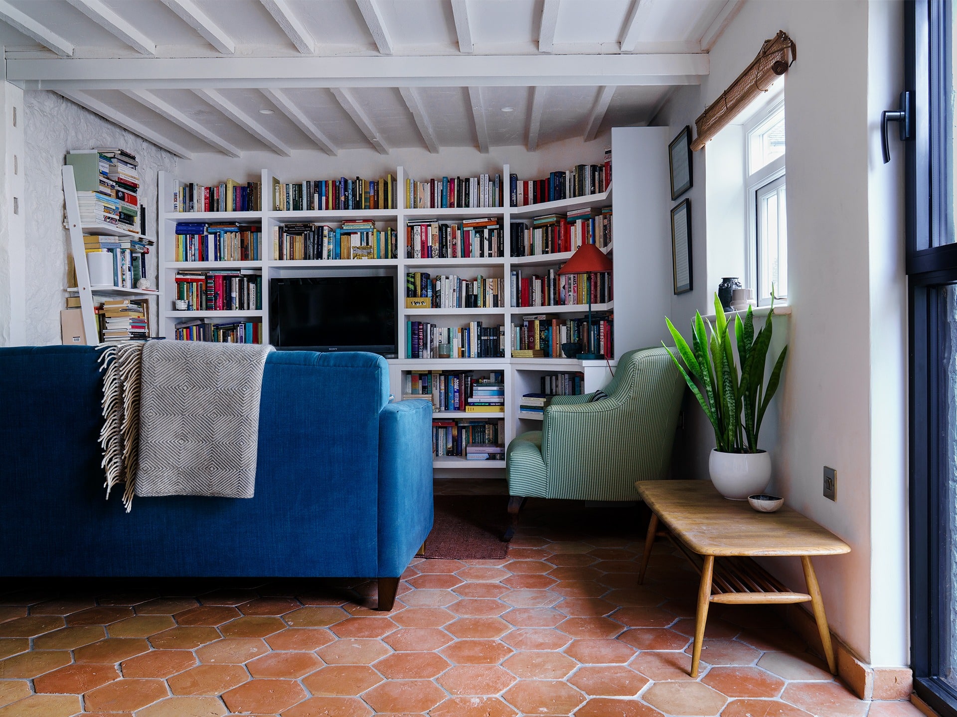 Cosy living room with bookshelves and plants.
